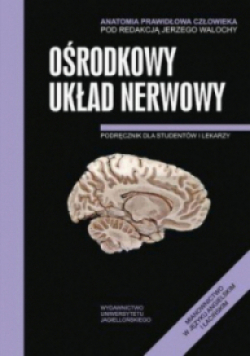 Anatomia Prawidłowa Człowieka Ośrodkowy układ nerwowy
