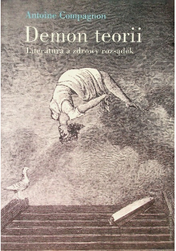 Demon teorii