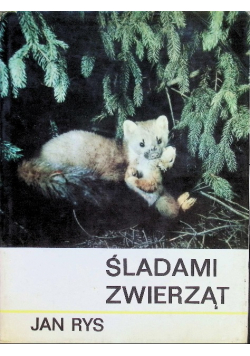 Śladami zwierząt