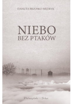 Niebo bez ptaków
