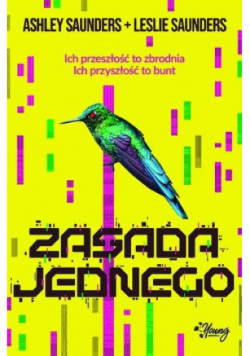 Zasada jednego
