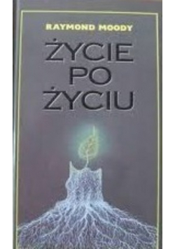 Życie po życiu