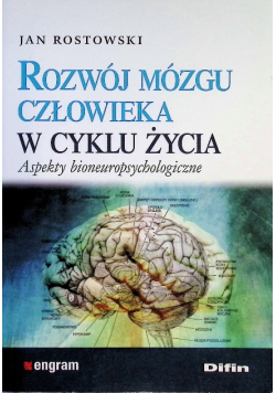 Rozwój mózgu człowieka w cyklu życia