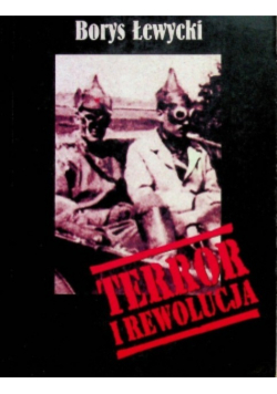 Terror i rewolucja
