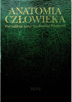 Anatomia człowieka