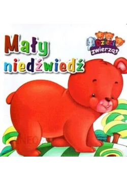 Mały niedźwiedź