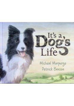 It's a Dog's Life