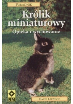 Królik miniaturowy opieka i wychowanie