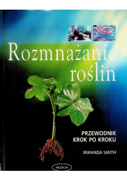 Rozmnażanie roślin przewodnik krok po kroku
