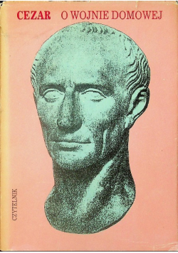 O wojnie domowej