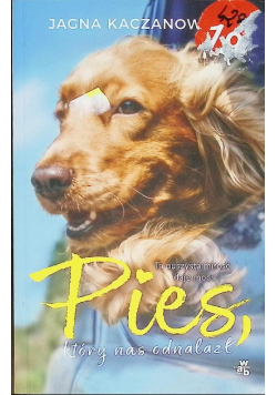 Pies, który nas odnalazł