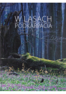 W lasach Podkarpacia