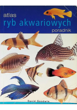 Ściąga z języka polskiego