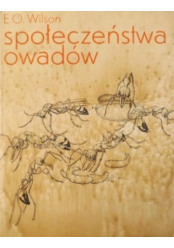 Społeczeństwo owadów