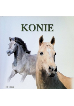 Konie