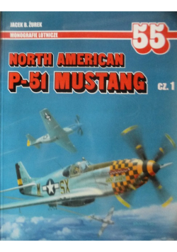 North American P - 51 Mustang. Część 1