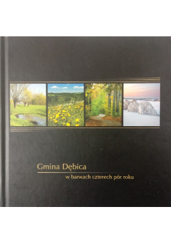 Gmina Dębica w barwach czterech pór roku