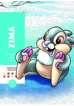 Zima. Kolorowanka antystresowa Disney. Zagadkowe rysunki