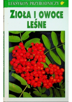 Zioła i owoce leśne