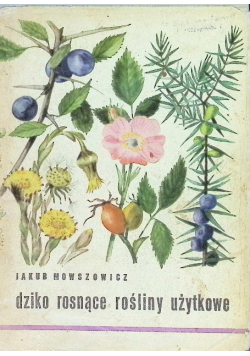 Dziko rosnące rośliny użytkowe