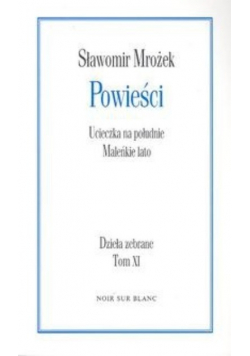 powieści- ucieczka na południe, maleńkie lato