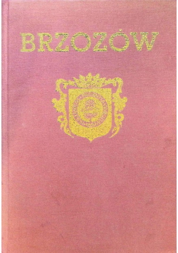 Brzozów Zarys Monograficzny