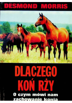 Dlaczego koń rży