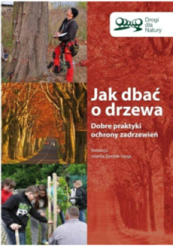 Jak dbać o drzewa