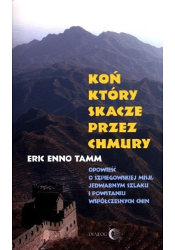 Koń który skacze przez chmury