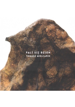 Pali się dzień