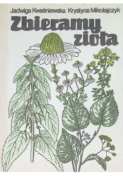 Zbieramy zioła