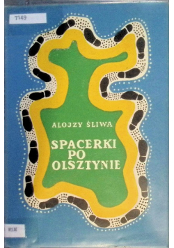 Spacerki po Olsztynie