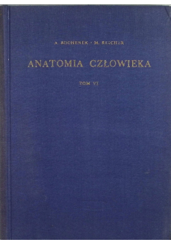 Anatomia człowieka Tom 6