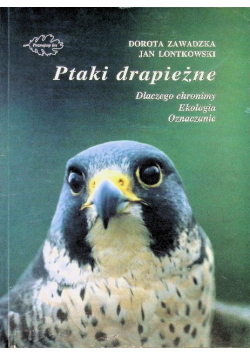 Ptaki drapieżne Dlaczego chronimy ekologia oznaczanie