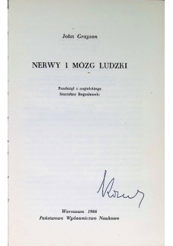 Nerwy i mózg ludzki
