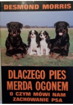 Dlaczego pies merda ogonem