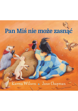 Pan Miś nie może zasnąć