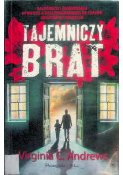 Tajemniczy brat