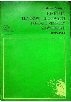 Historia teatrów ludowych Polskie zespoły zawodowe