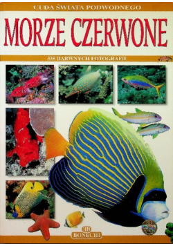 Morze Czerwone 335 barwnych fotografii