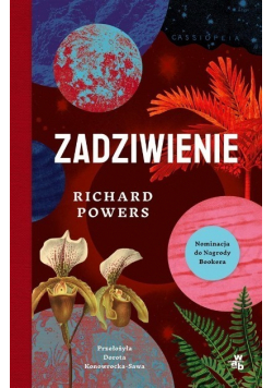 Zadziwienie