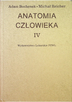 Anatomia człowieka Tom IV