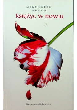 Księżyc w nowiu