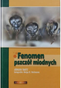 Fenomen pszczół miodnych