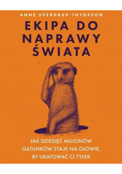 Ekipa do naprawy świata