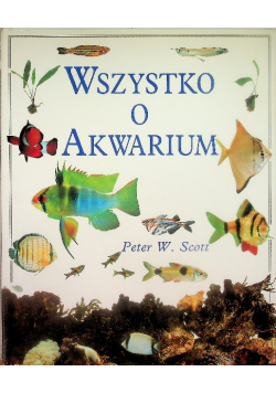 Wszystko o Akwarium